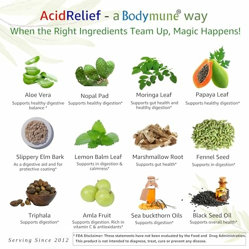 Image showing various natural ingredients like Aloe Vera, Nopal Pad, Moringa Leaf, and more for digestive health.