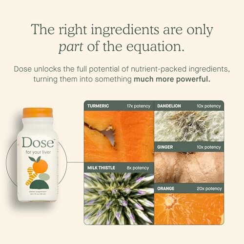 Dose liver supplement with turmeric, dandelion, ginger, milk thistle, and orange.