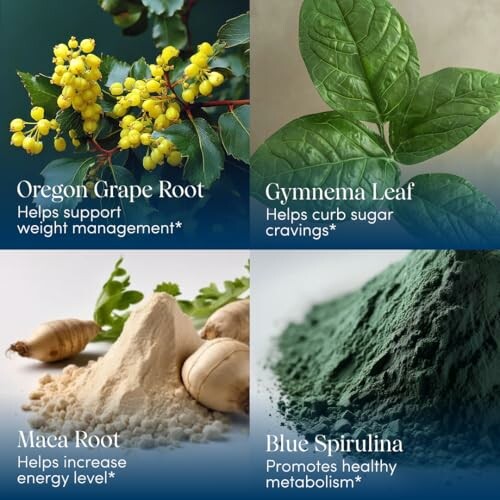 Four herbal supplements with benefits: Oregon Grape Root, Gymnema Leaf, Maca Root, Blue Spirulina.