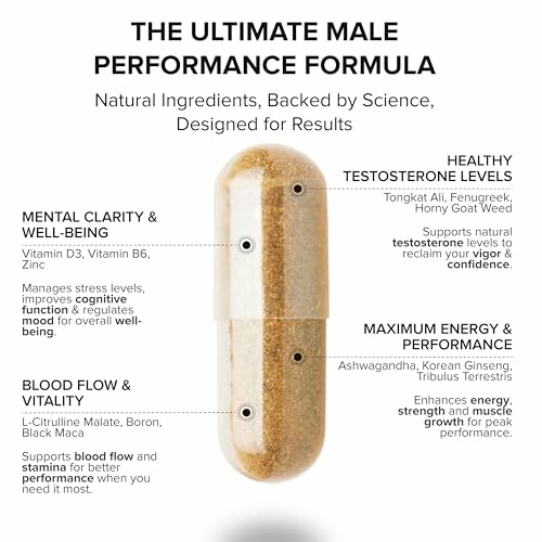 Capsule with benefits of male performance formula highlighting mental clarity, testosterone levels, energy, and blood flow.