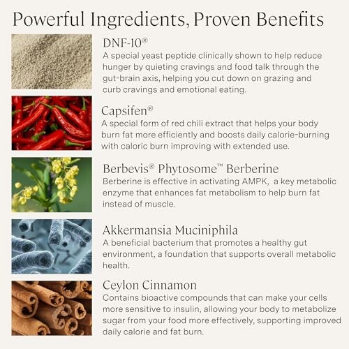 List of powerful ingredients and their benefits, including DNF-10, Capsifen, Berberine, Akkermansia Muciniphila, and Ceylon Cinnamon.