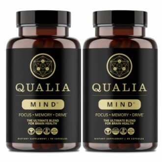 Qualia Mind 2.0