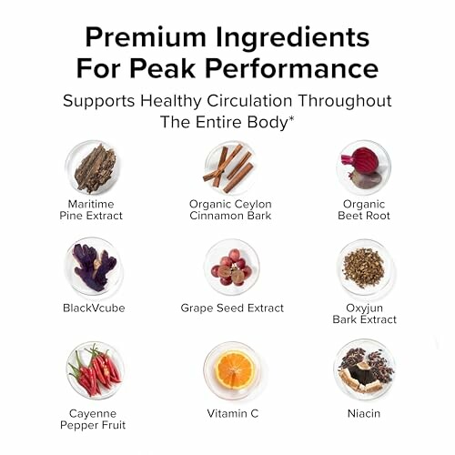 Chart of premium ingredients for peak performance including Maritime Pine Extract, Organic Ceylon Cinnamon Bark, Organic Beet Root, BlackVcube, Grape Seed Extract, Oxyjun Bark Extract, Cayenne Pepper Fruit, Vitamin C, and Niacin.