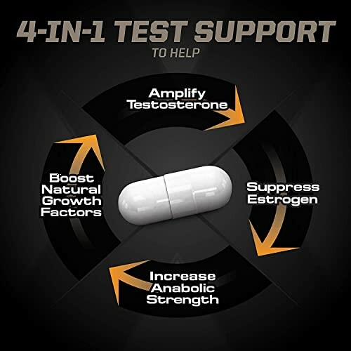 Diagram of 4-in-1 test support supplement benefits.